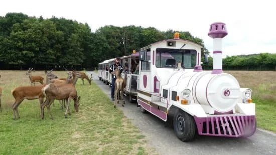 Reserve De Beaumarchais - Safari Train
