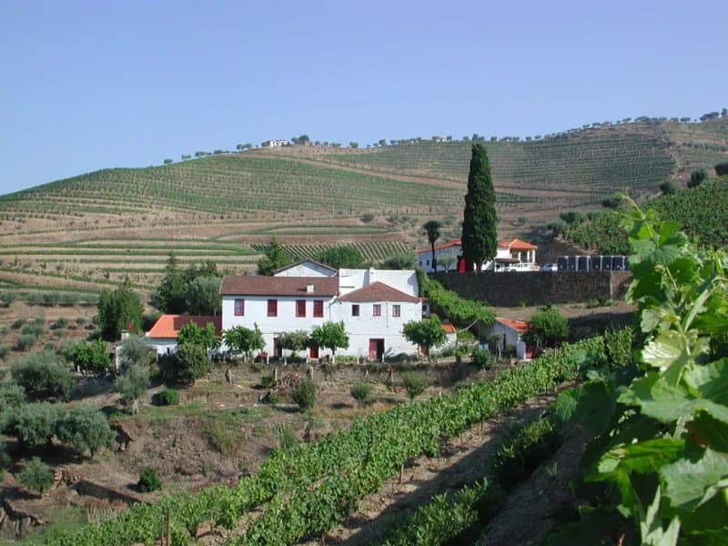 Quinta do Passadouro