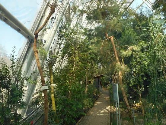 Botanical Garden (Botanischer Garten)