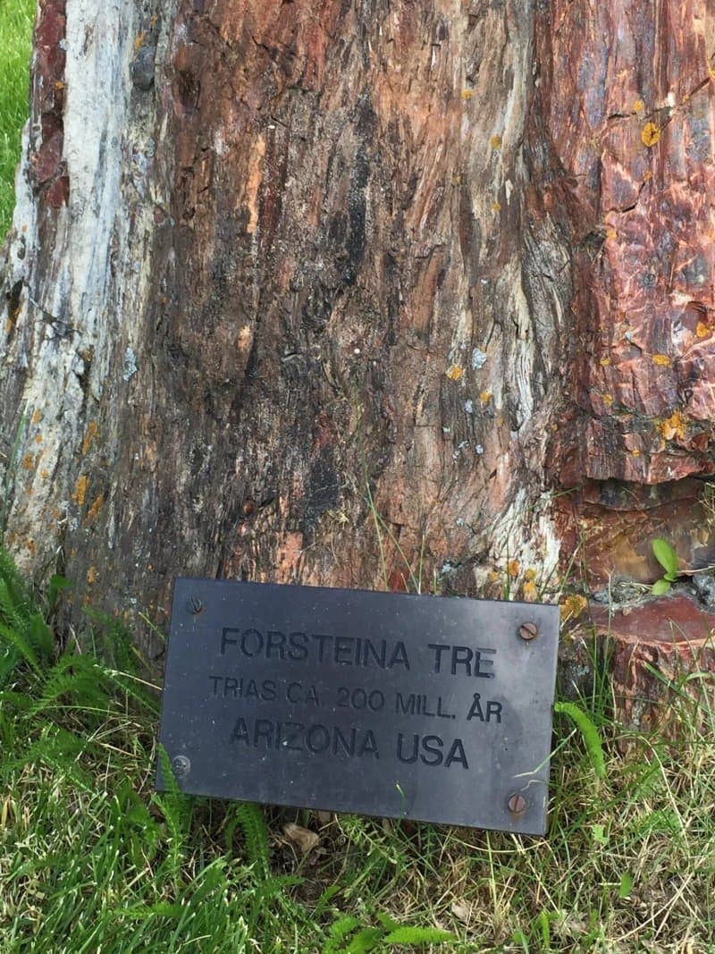 Fossheim Steinsenter