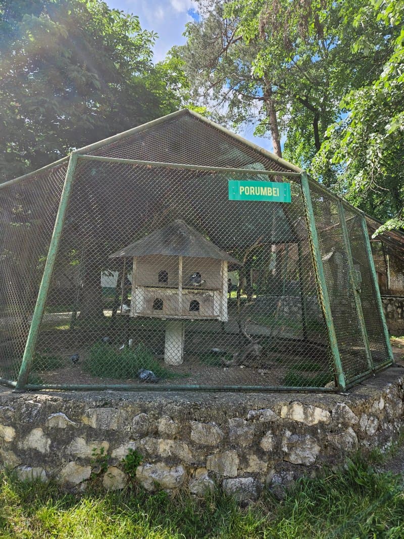 Zoo Resika