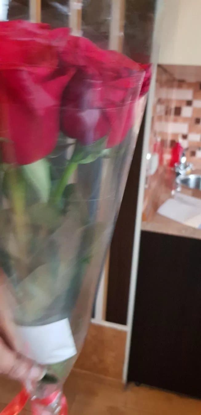 Central Apartment Romantica
