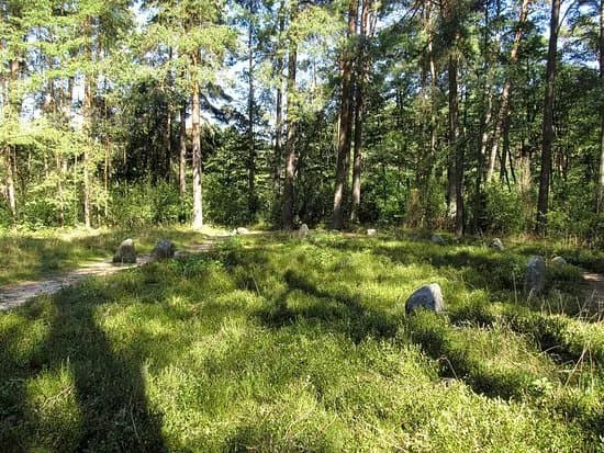 Rezerwat przyrody Kregi Kamienne