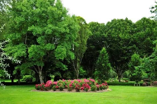 Adare Town Park