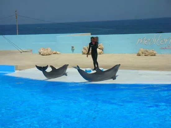 Mediterraneo Marine Park