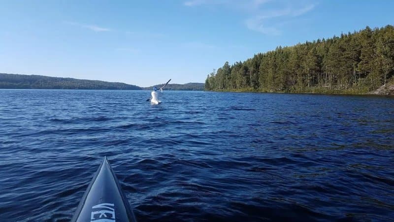 Högsbyns Fritidscenter, Camping & Stugor