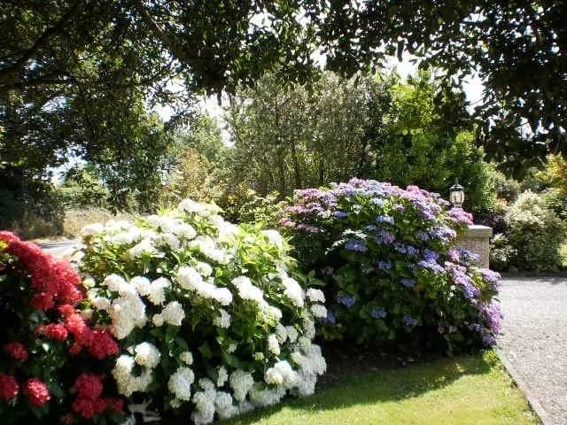 St. Thereses B&B