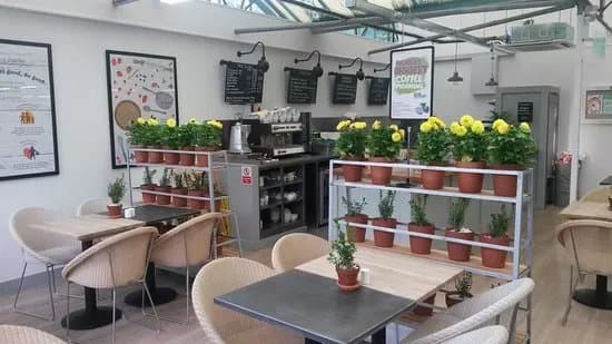 Harrow Garden Centre