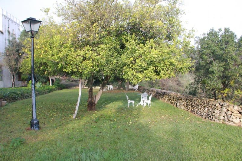 Cortijo Barranco
