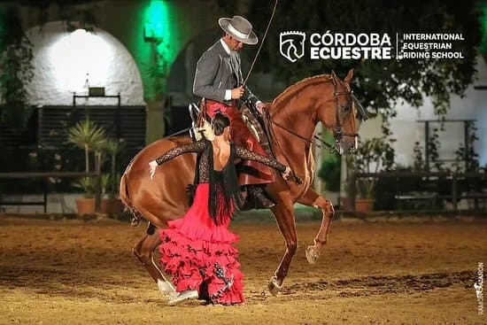 Cordoba Ecuestre