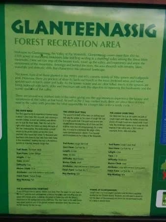 Glanteenassig Wood