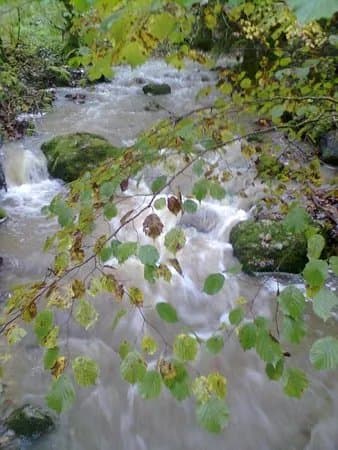 Cascade de Motiers