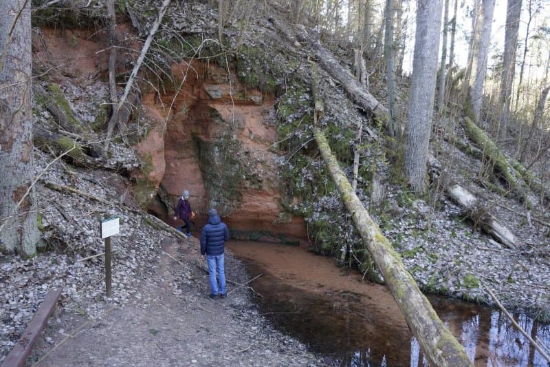 Tilleoru Nature Trail