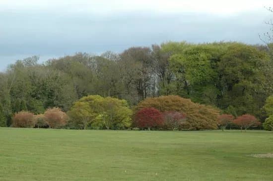 John F. Kennedy Arboretum