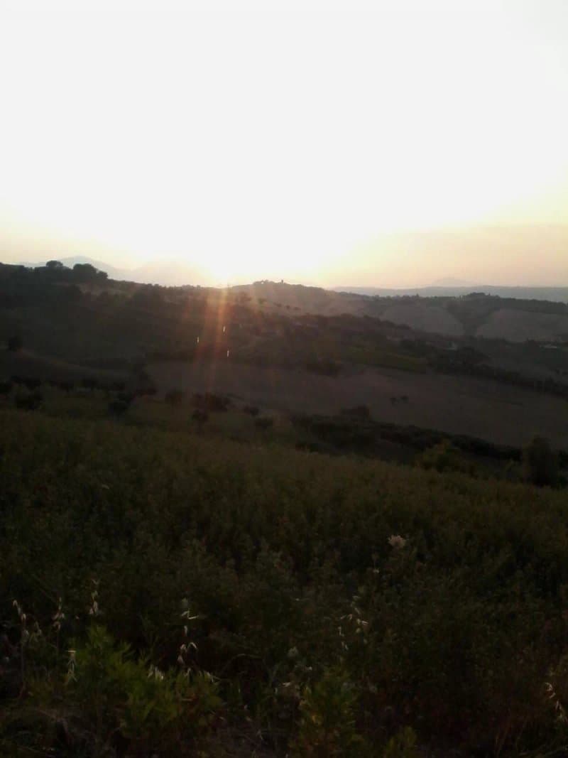 Il Fortino Agriturismo