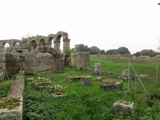 Area Archeologica di Ferento
