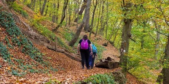 Fruska Gora