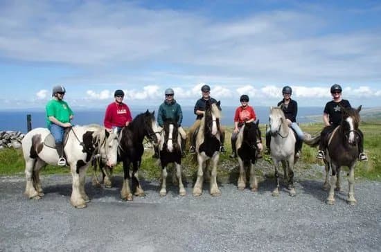 Mountain View Horse Riding Centre