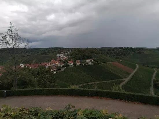 Stuttgarter Weinwanderweg