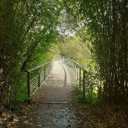 Parc Des Haradieres