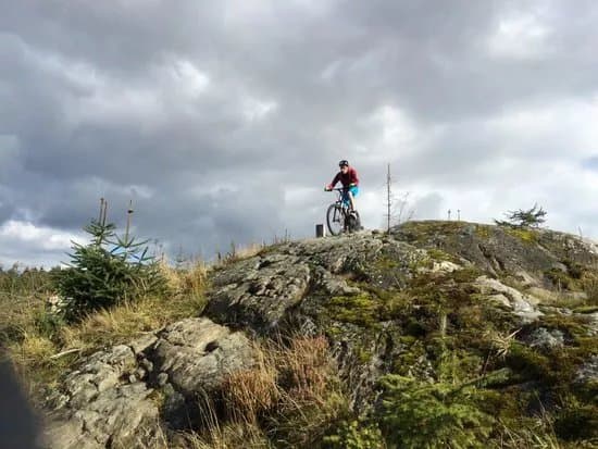 Davagh Forest Trails