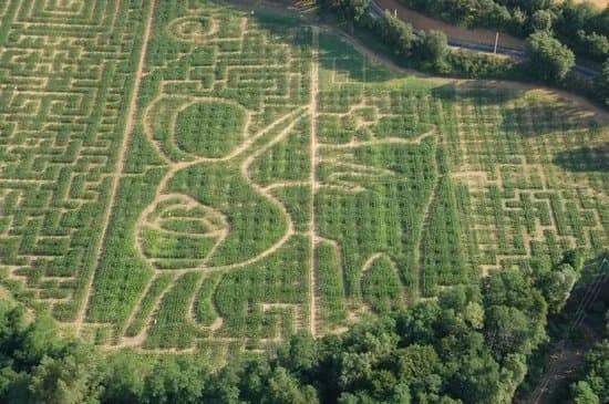 Labyrinthe Vegetal