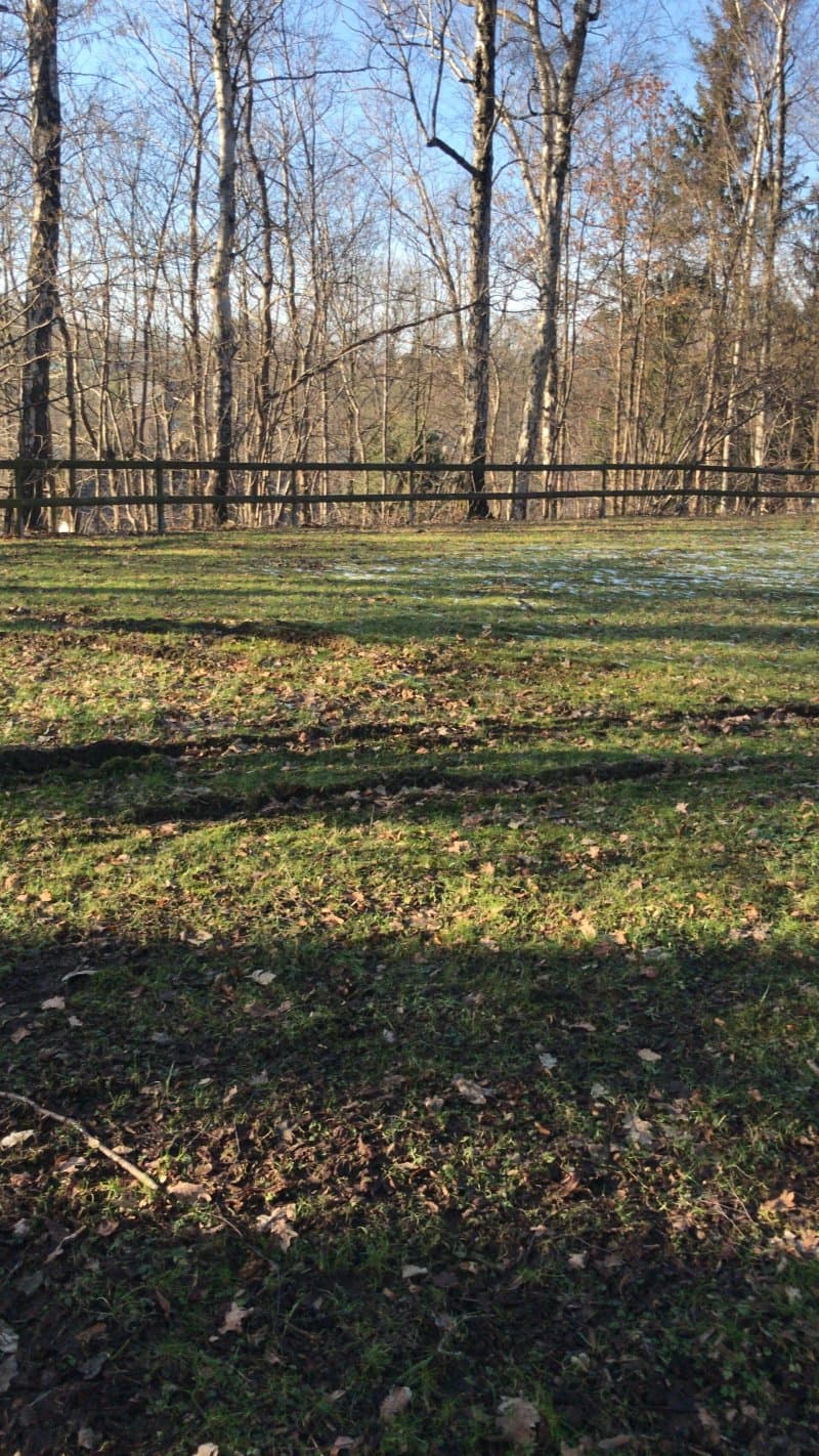 Pionierpark Stollberg