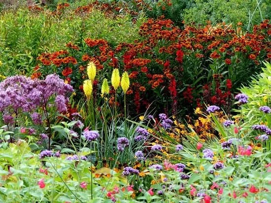 RHS Garden Rosemoor