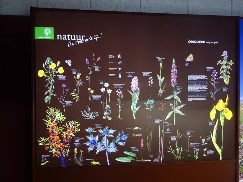 Centrum voor Natuur en Landschap