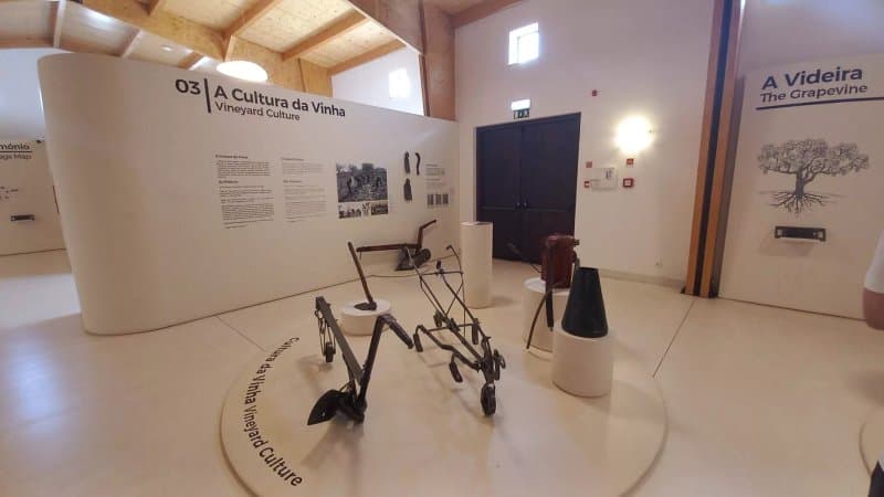Centro Interpretativo do Vinho de Talha