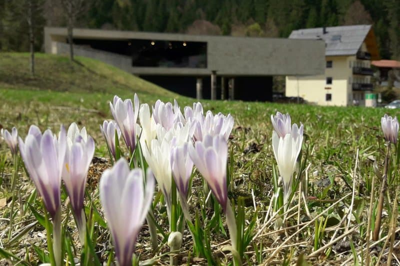 Naturparkhaus Hinterriss
