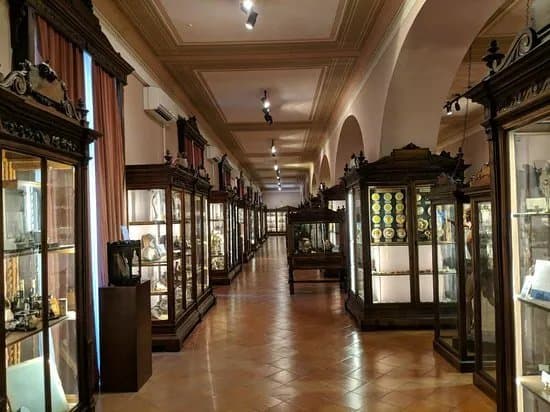 MUSA - Museo Universitario delle Scienze e delle Arti