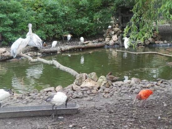 Van Blanckendaell Park