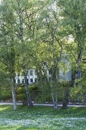 Lyngby Vandrerhjem