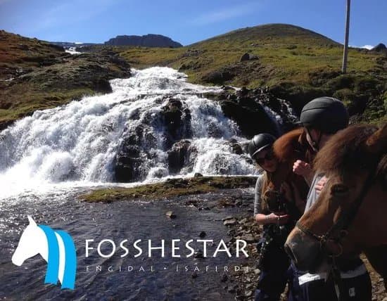 Fosshestar