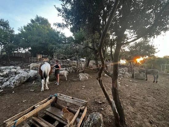Brac Animal Sanctuary