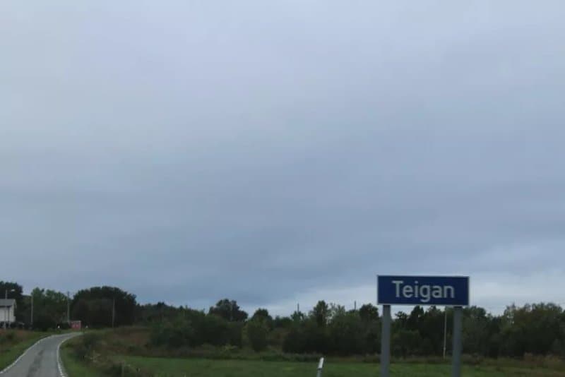 Langnesvika