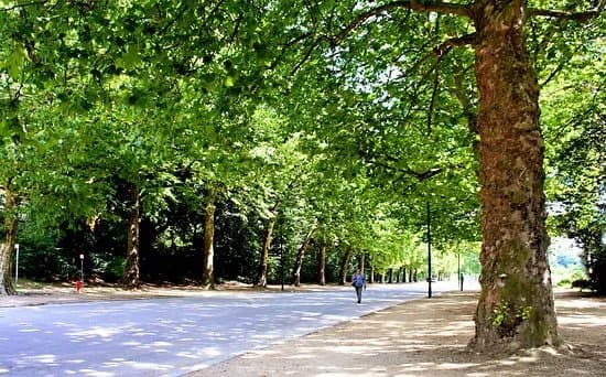 Promenade verte de Bruxelles