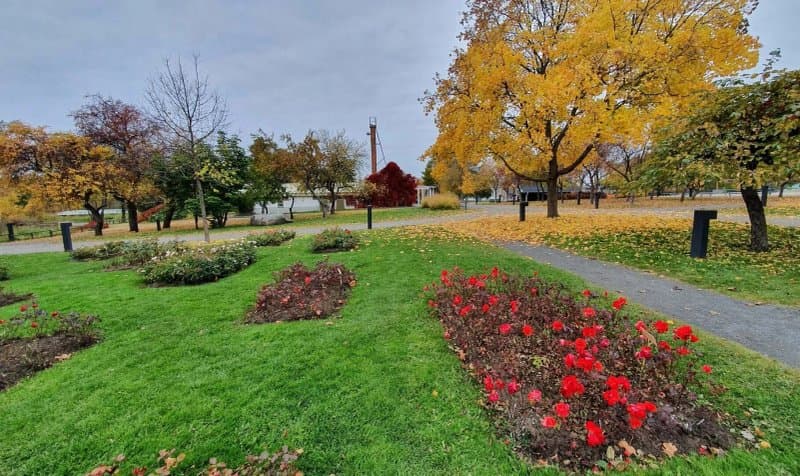 Hupisaari Rose Garden