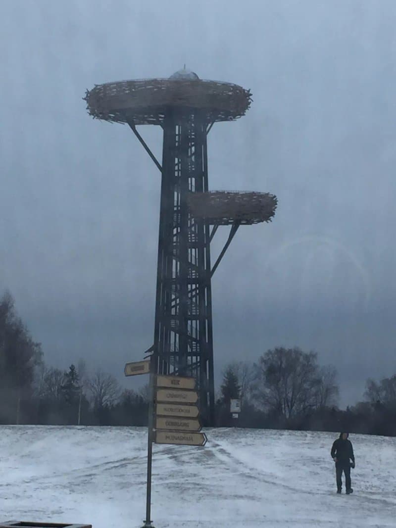 The Pesapuu Watchtower