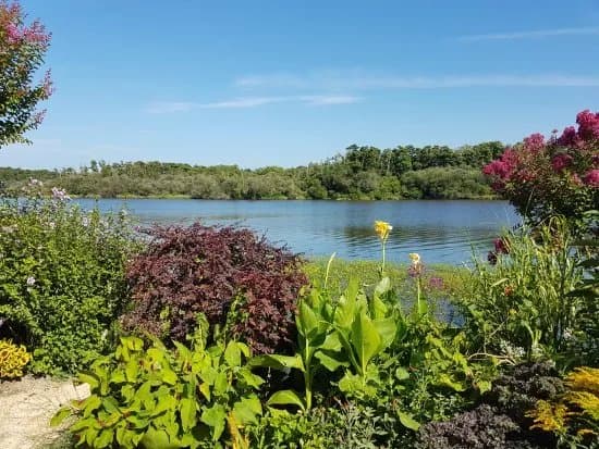 Promenade Fleurie