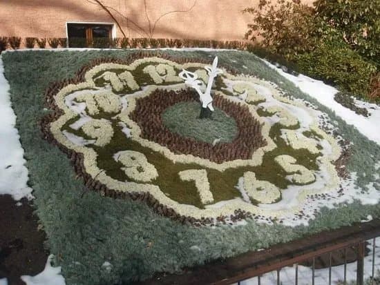 Flower Clock