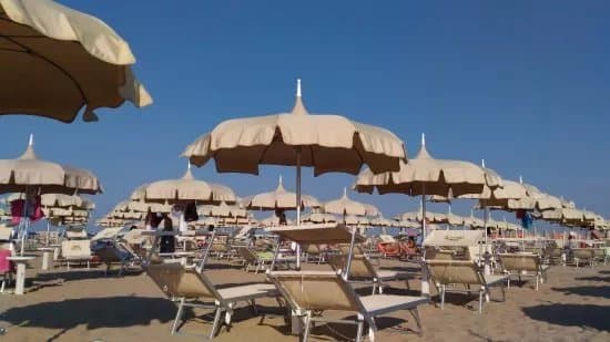 Beach Bulli 75