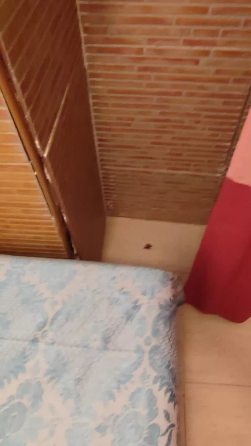 Apartamentos Azul
