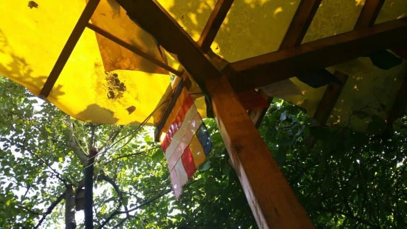 Hostel Costel