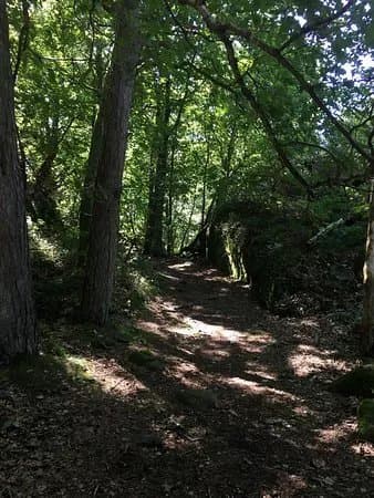 Borras Skara