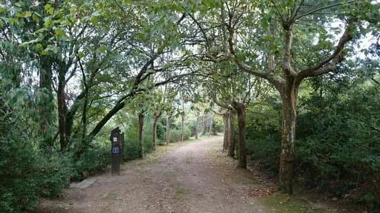 Mata Nacional de Vale de Canas