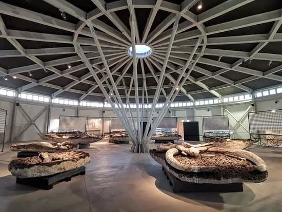 Museo Paleontologico "Luigi Boldrini"