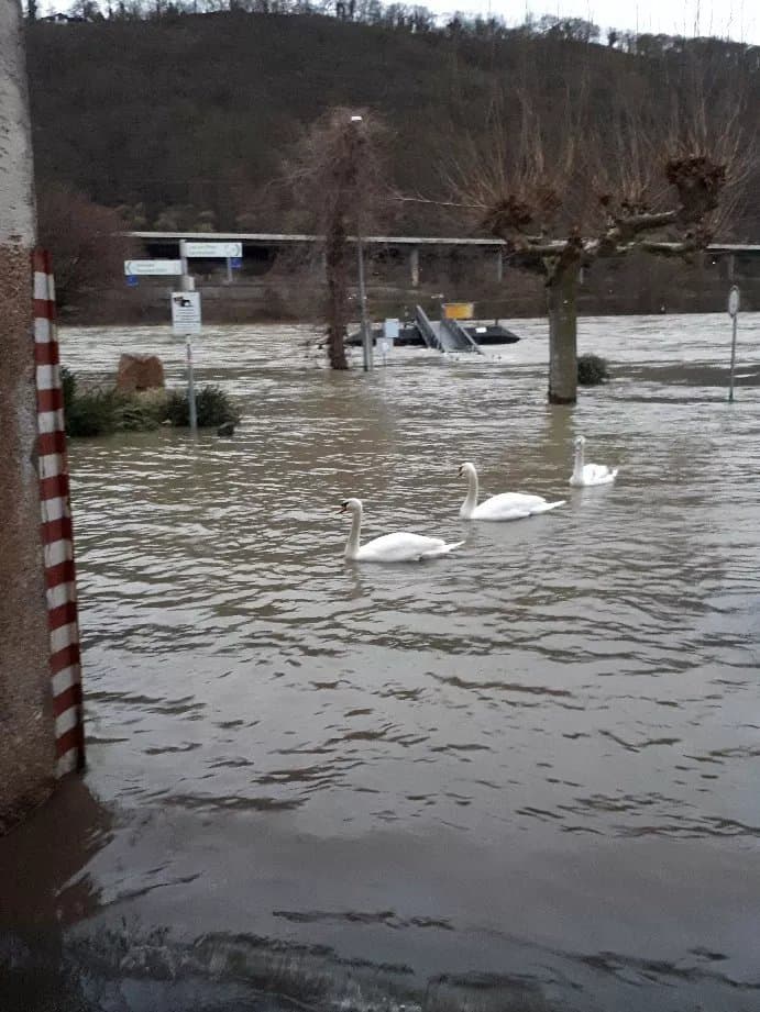 Pension Cafe Am Rheinsteig