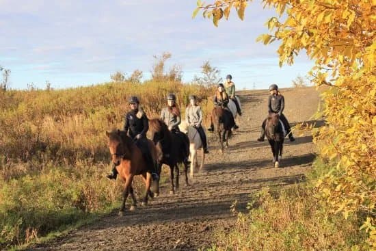 Hraunhestar Riding Tours